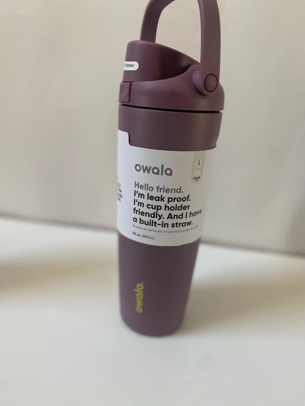 Owala Plum Leak-Proof Travel Water Bottle with Built-In Straw